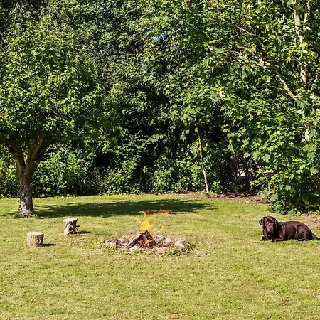 Pet Friendly In With Wifi *